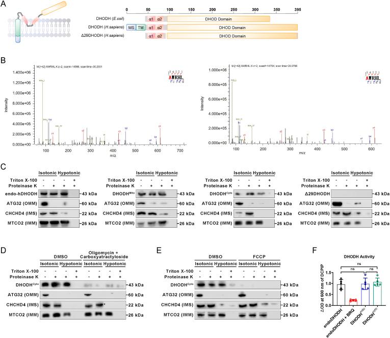 https://cdn.ncbi.nlm.nih.gov/pmc/blobs/983d/11152977/54d2536c37c2/gr7.jpg
