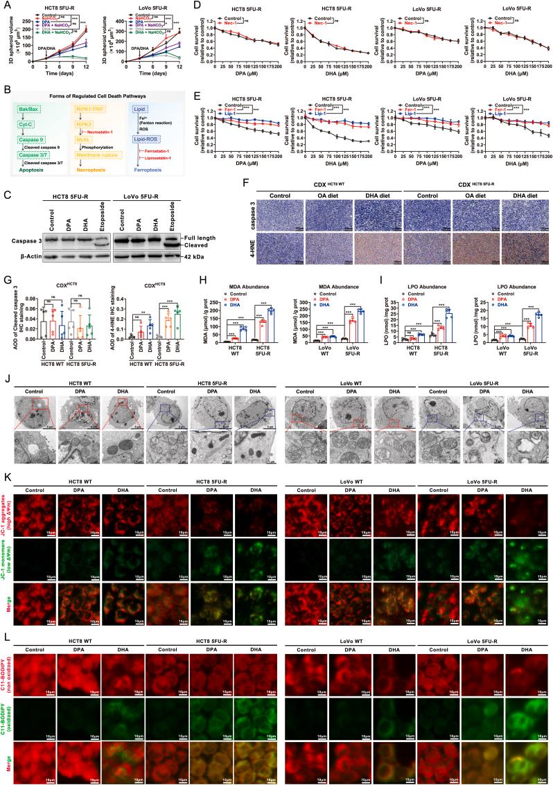 https://cdn.ncbi.nlm.nih.gov/pmc/blobs/983d/11152977/f5f14f23ae86/gr3.jpg