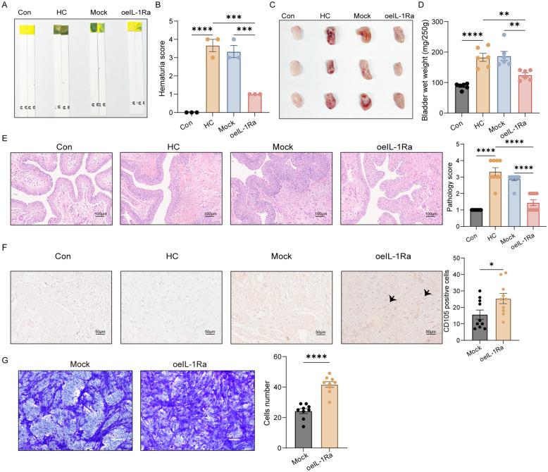 https://cdn.ncbi.nlm.nih.gov/pmc/blobs/9843/12217520/29e1ac73c88c/13287_2025_4443_Fig1_HTML.jpg