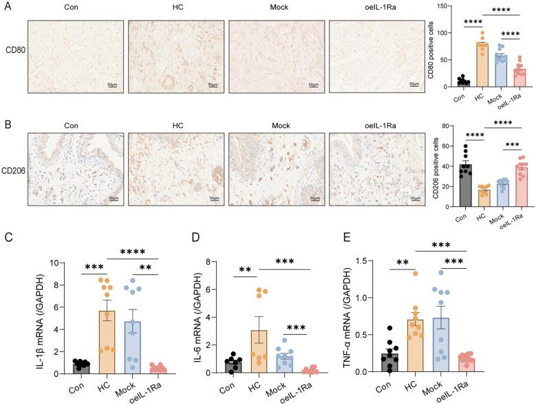 https://cdn.ncbi.nlm.nih.gov/pmc/blobs/9843/12217520/a0411b4870e3/13287_2025_4443_Fig2_HTML.jpg