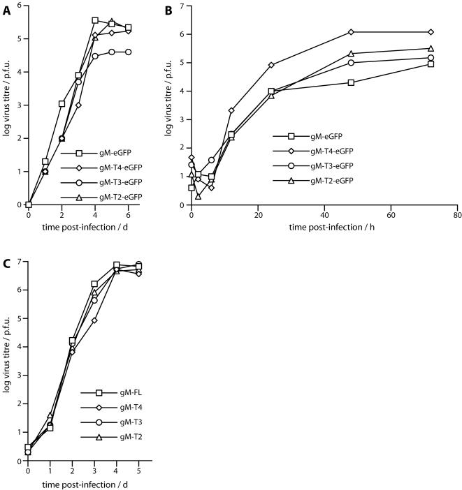 https://cdn.ncbi.nlm.nih.gov/pmc/blobs/9843/2329910/3ad2d7c2cd1c/pone.0002131.g006.jpg