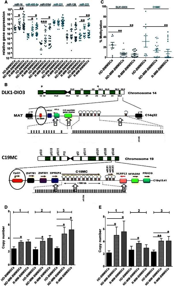 https://cdn.ncbi.nlm.nih.gov/pmc/blobs/9843/4336751/58fd00955644/12885_2015_1078_Fig2_HTML.jpg