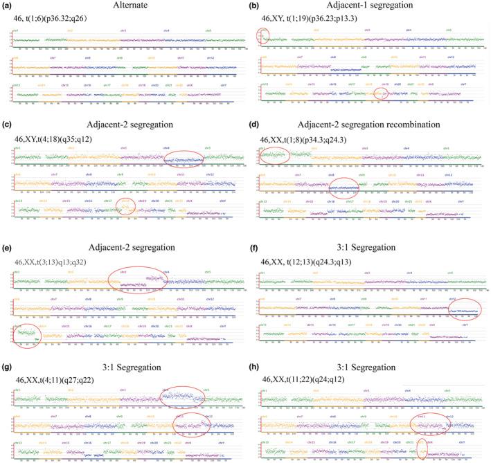 https://cdn.ncbi.nlm.nih.gov/pmc/blobs/9844/10795077/2084c23b7e4f/MGG3-12-e2356-g003.jpg