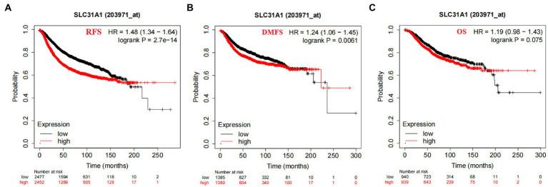 https://cdn.ncbi.nlm.nih.gov/pmc/blobs/9846/10234574/4b0b54832cf4/fmed-10-1194046-g004.jpg