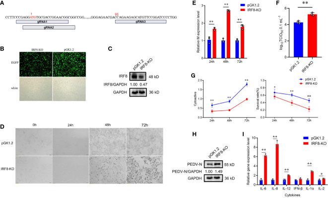 https://cdn.ncbi.nlm.nih.gov/pmc/blobs/9846/10427914/11922f95988c/fimmu-14-1187144-g002.jpg