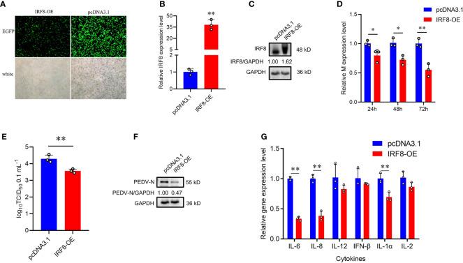 https://cdn.ncbi.nlm.nih.gov/pmc/blobs/9846/10427914/7c575976c9d4/fimmu-14-1187144-g003.jpg