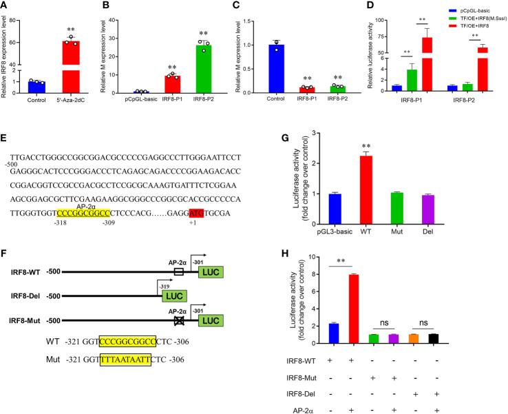 https://cdn.ncbi.nlm.nih.gov/pmc/blobs/9846/10427914/e9ffd9d1f181/fimmu-14-1187144-g005.jpg
