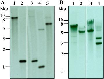 https://cdn.ncbi.nlm.nih.gov/pmc/blobs/9847/4855366/7351917a7143/13071_2016_1518_Fig2_HTML.jpg