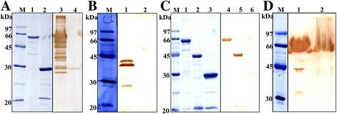 https://cdn.ncbi.nlm.nih.gov/pmc/blobs/9847/4855366/8f0b8660ccd8/13071_2016_1518_Fig3_HTML.jpg