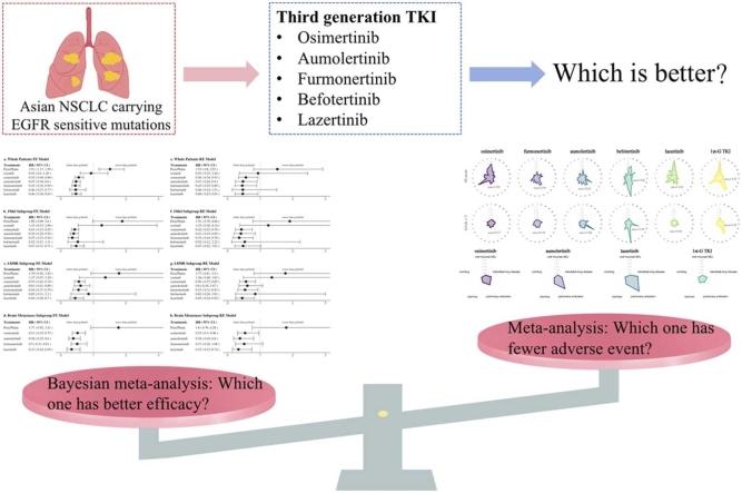 https://cdn.ncbi.nlm.nih.gov/pmc/blobs/9849/12346681/fef484cf4c4f/ga1.jpg
