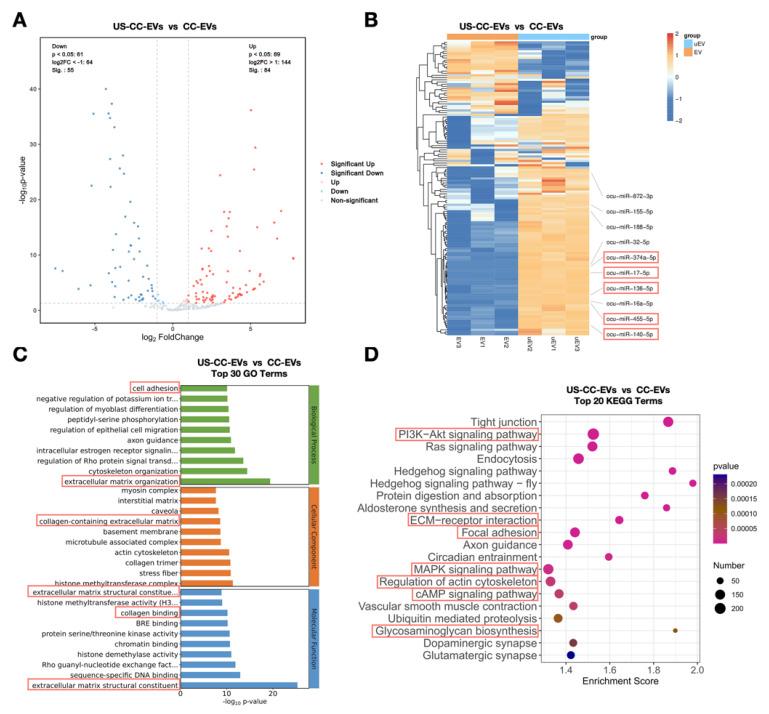 https://cdn.ncbi.nlm.nih.gov/pmc/blobs/984a/10604747/616197c738f6/biomedicines-11-02836-g006.jpg