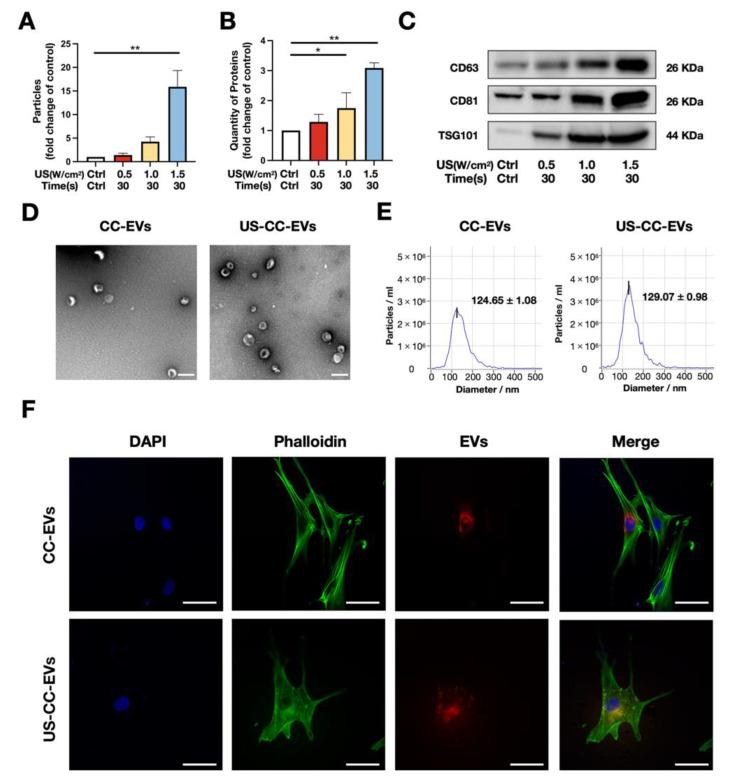 https://cdn.ncbi.nlm.nih.gov/pmc/blobs/984a/10604747/6da0165b0926/biomedicines-11-02836-g002.jpg