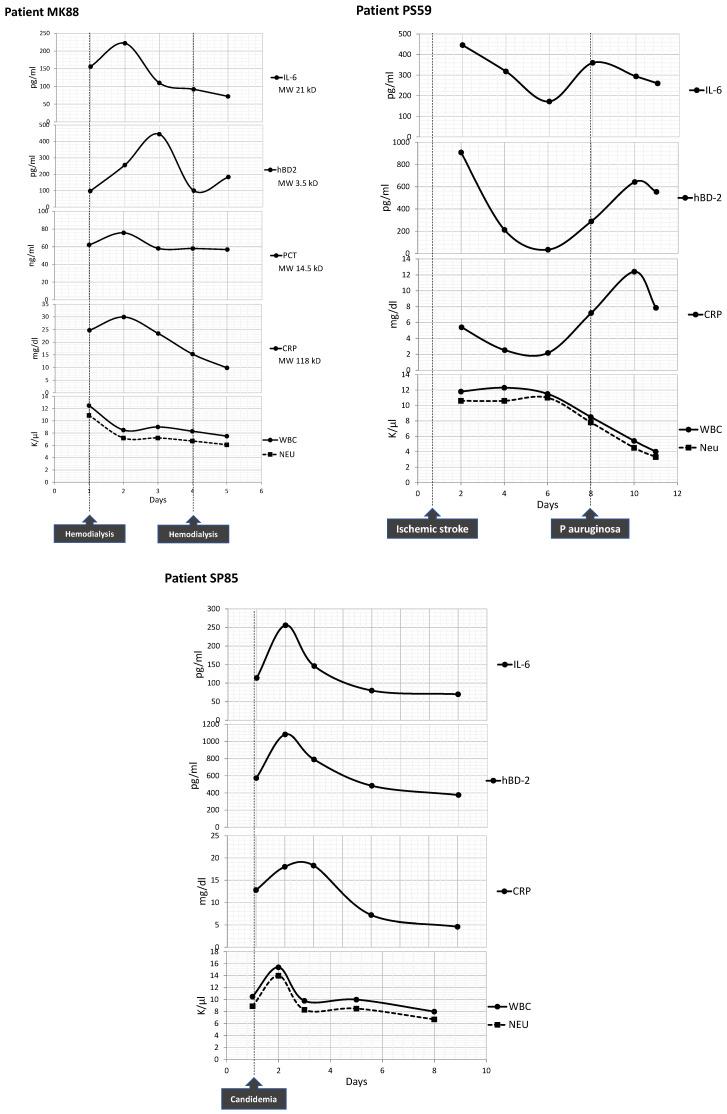 https://cdn.ncbi.nlm.nih.gov/pmc/blobs/984b/10252252/1b9bf09af696/diagnostics-13-01885-g008.jpg