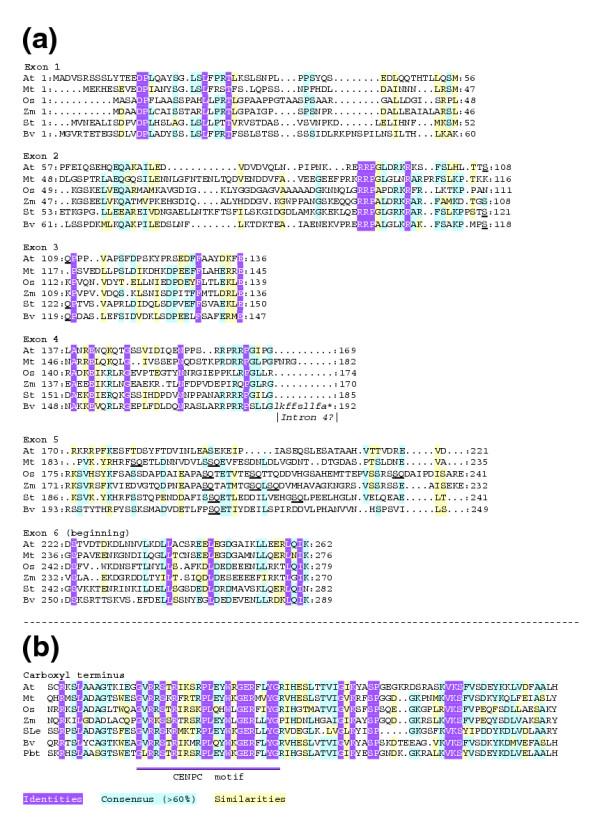 https://cdn.ncbi.nlm.nih.gov/pmc/blobs/984d/549713/27a8d5bf38f7/jbiol11-4.jpg