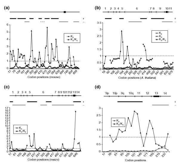 https://cdn.ncbi.nlm.nih.gov/pmc/blobs/984d/549713/32bd74855df0/jbiol11-2.jpg