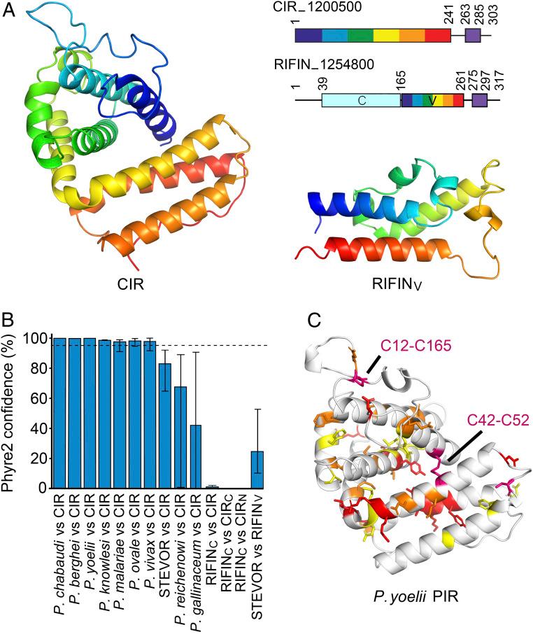 https://cdn.ncbi.nlm.nih.gov/pmc/blobs/984d/7749308/73a24a6326bf/pnas.2016775117fig03.jpg