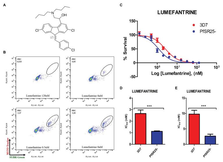 https://cdn.ncbi.nlm.nih.gov/pmc/blobs/984d/8006397/a28ea1ad57ec/fmicb-12-638869-g001.jpg