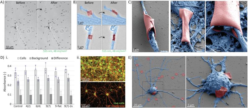 https://cdn.ncbi.nlm.nih.gov/pmc/blobs/984f/11525480/dec4a5de8380/42004_2024_1335_Fig5_HTML.jpg