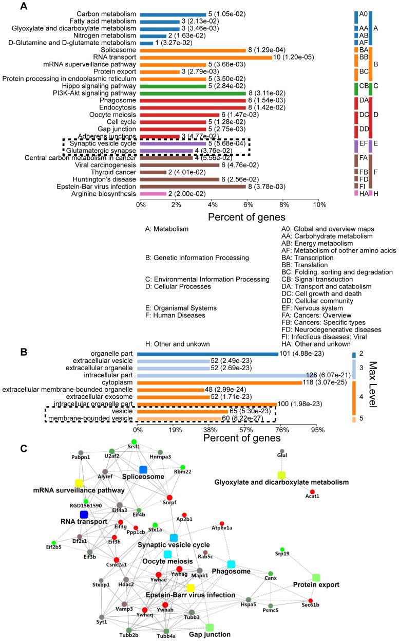 https://cdn.ncbi.nlm.nih.gov/pmc/blobs/9851/7978312/3d9dfa7389bd/thnov11p4616g002.jpg