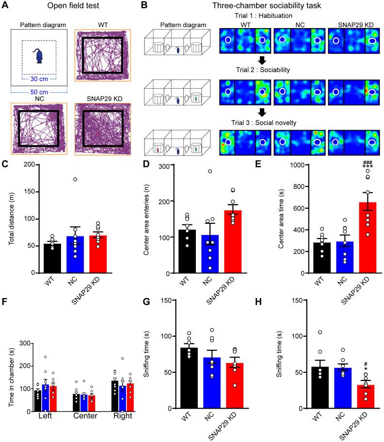 https://cdn.ncbi.nlm.nih.gov/pmc/blobs/9851/7978312/945110110cd7/thnov11p4616g007.jpg