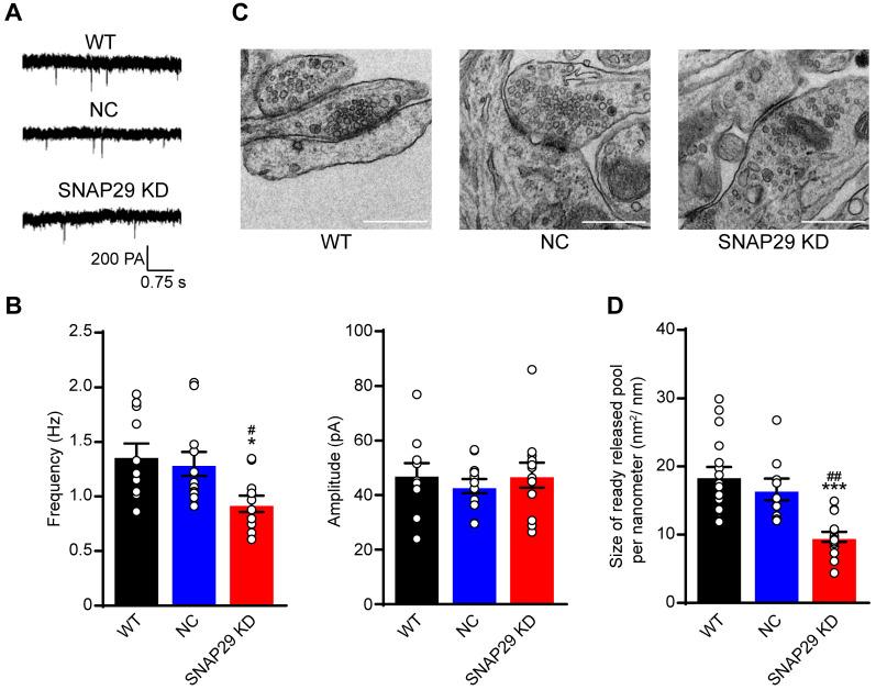 https://cdn.ncbi.nlm.nih.gov/pmc/blobs/9851/7978312/dd8a0259b72d/thnov11p4616g004.jpg