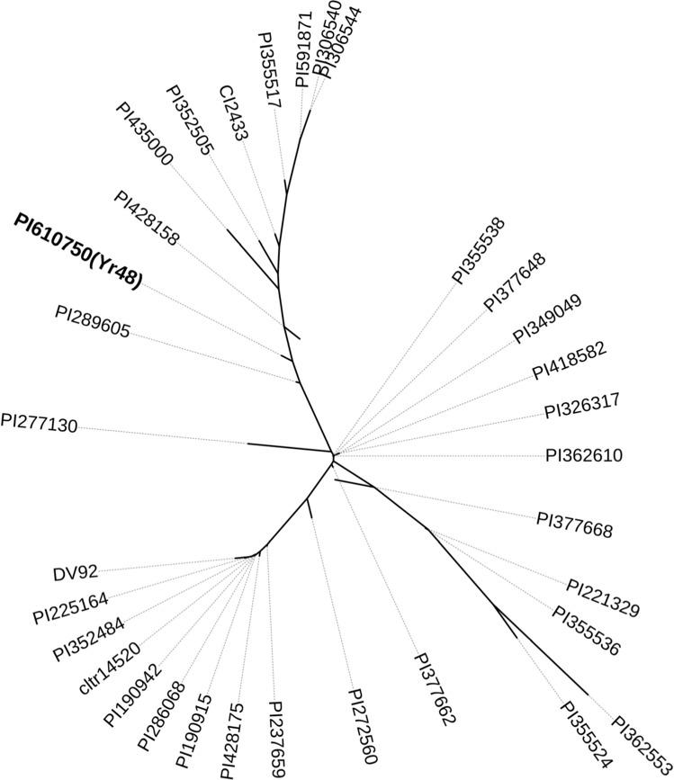 https://cdn.ncbi.nlm.nih.gov/pmc/blobs/9852/8263425/3154e73127ad/122_2021_3816_Fig6_HTML.jpg