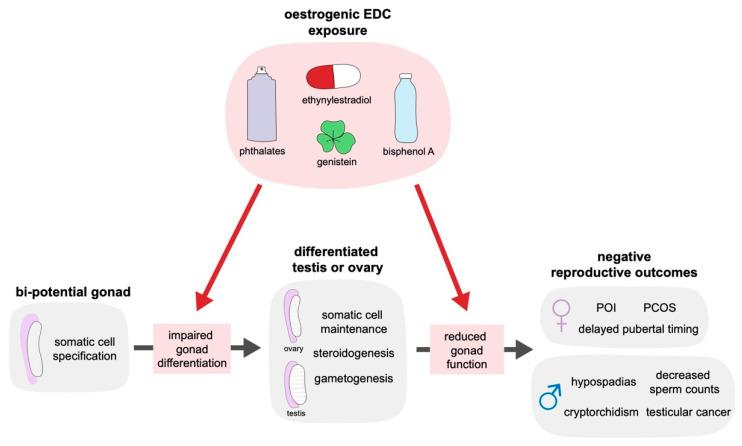 https://cdn.ncbi.nlm.nih.gov/pmc/blobs/9853/7664701/ea45a6f703b9/ijms-21-08377-g001.jpg