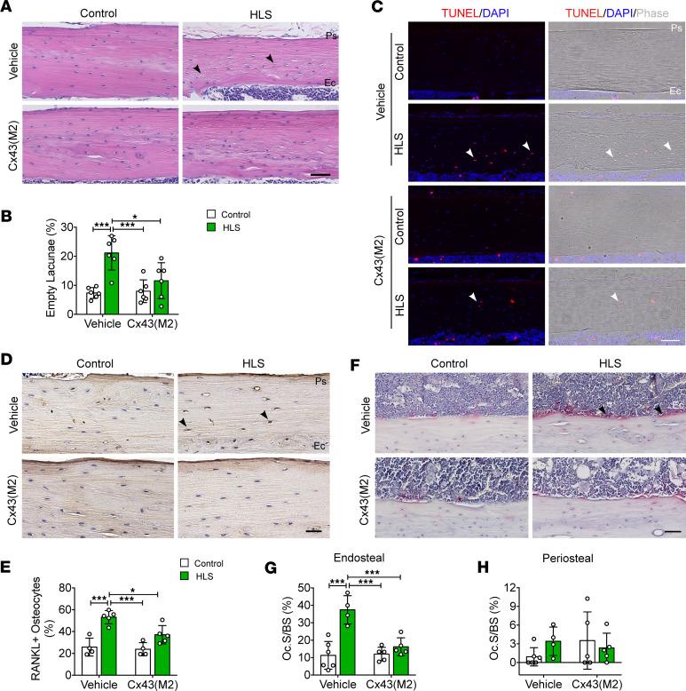 https://cdn.ncbi.nlm.nih.gov/pmc/blobs/9854/11623949/90e36ec56e5c/jciinsight-9-177557-g122.jpg