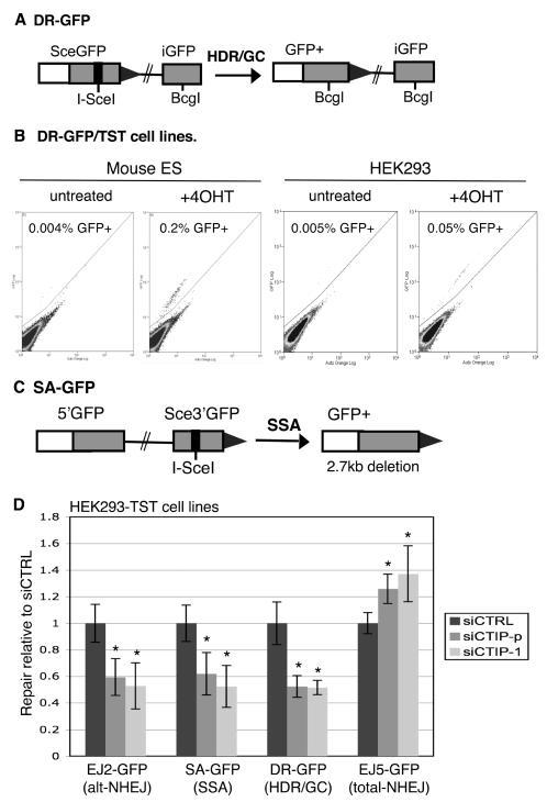 https://cdn.ncbi.nlm.nih.gov/pmc/blobs/9855/2430616/85e68633d86d/pgen.1000110.g003.jpg