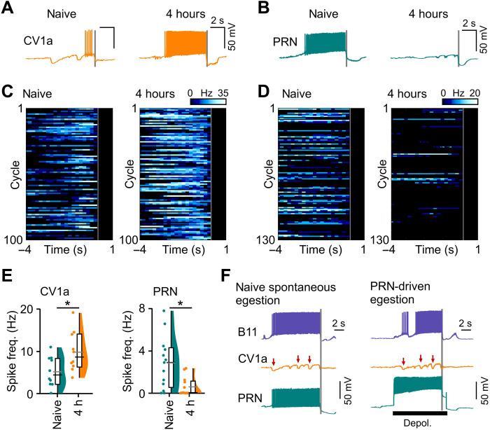 https://cdn.ncbi.nlm.nih.gov/pmc/blobs/985a/10038338/cea1b0bd7eeb/sciadv.add3403-f3.jpg