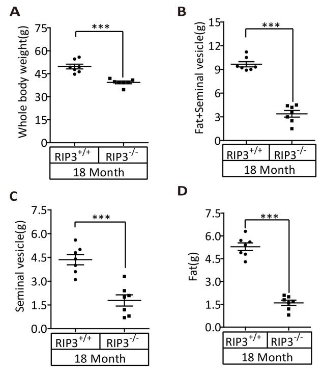 https://cdn.ncbi.nlm.nih.gov/pmc/blobs/985a/5557593/3a81fb1225ad/elife-27692-fig1-figsupp8.jpg