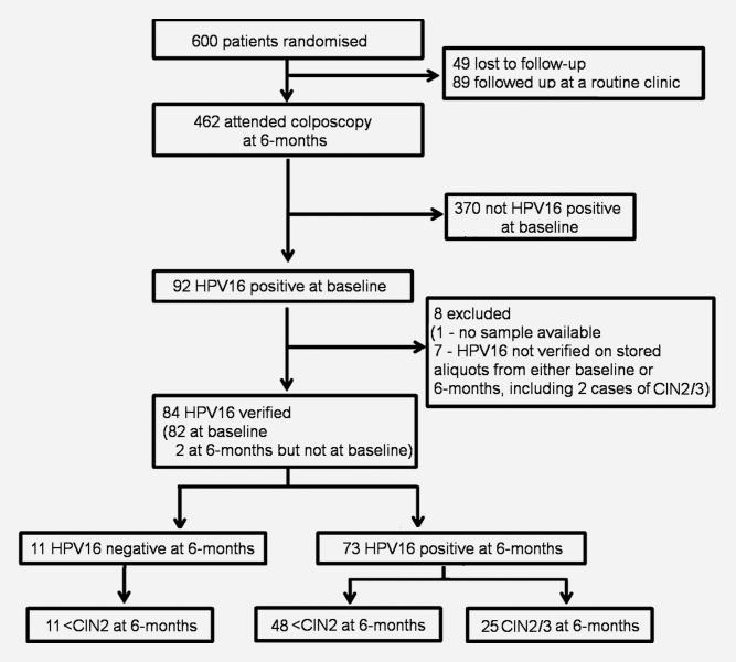 https://cdn.ncbi.nlm.nih.gov/pmc/blobs/985b/3708123/ec897dddd07f/ijc0133-0637-f1.jpg