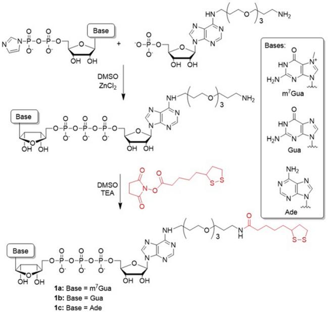https://cdn.ncbi.nlm.nih.gov/pmc/blobs/985b/8333360/599154dbd5be/41598_2021_94983_Fig1_HTML.jpg