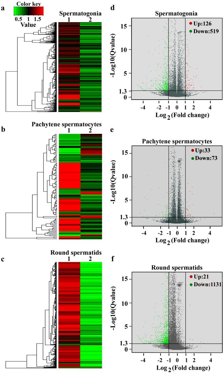 https://cdn.ncbi.nlm.nih.gov/pmc/blobs/9860/5833356/0b193f7f4b65/41419_2017_46_Fig7_HTML.jpg