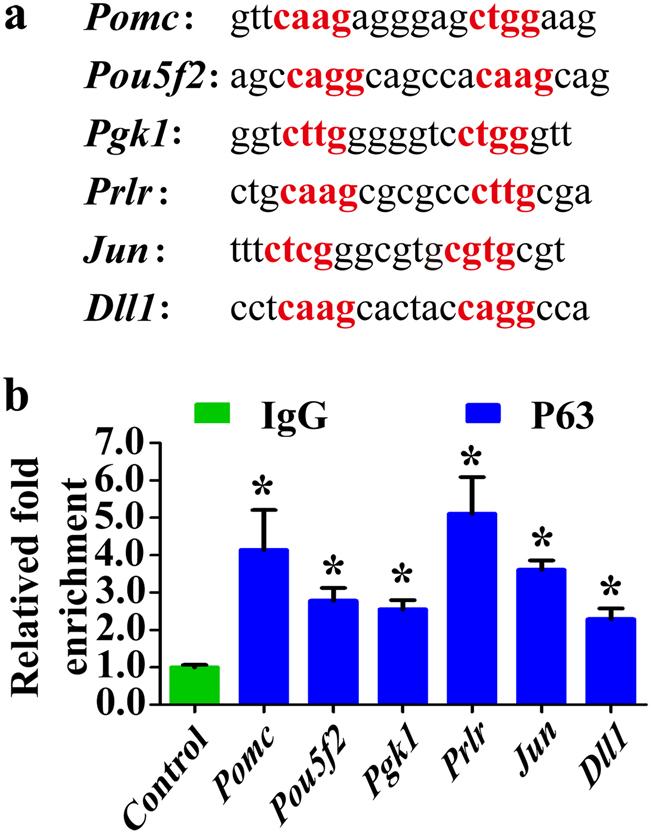 https://cdn.ncbi.nlm.nih.gov/pmc/blobs/9860/5833356/c7d1b898797c/41419_2017_46_Fig9_HTML.jpg