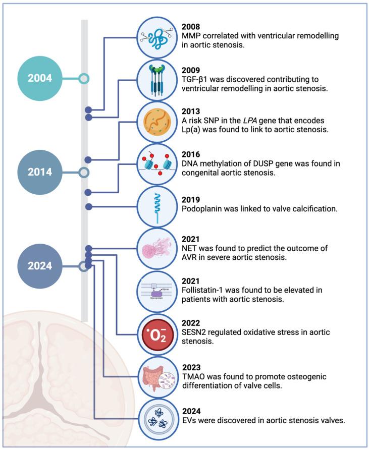 https://cdn.ncbi.nlm.nih.gov/pmc/blobs/9861/11899762/744ccadcaf01/ijms-26-01902-g001.jpg