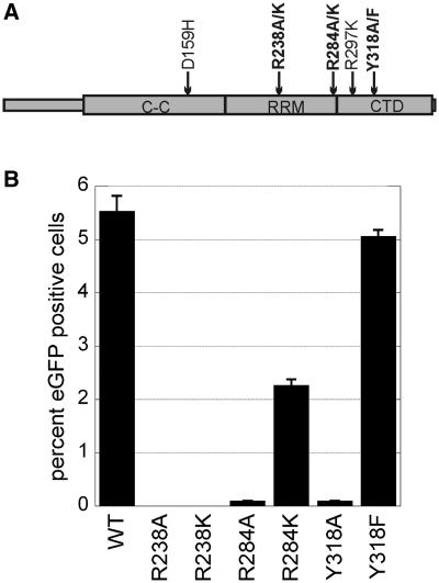 https://cdn.ncbi.nlm.nih.gov/pmc/blobs/9862/3141268/8a8b431b11a2/gkr171f1.jpg