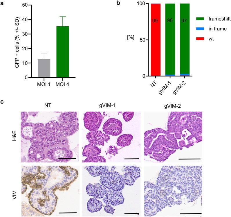 https://cdn.ncbi.nlm.nih.gov/pmc/blobs/9863/9614008/9d7731da0f59/41598_2022_21706_Fig5_HTML.jpg