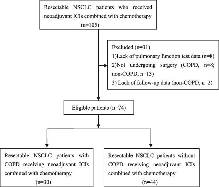 https://cdn.ncbi.nlm.nih.gov/pmc/blobs/9864/10829328/b2ab5d7333d9/12885_2024_11902_Fig1_HTML.jpg