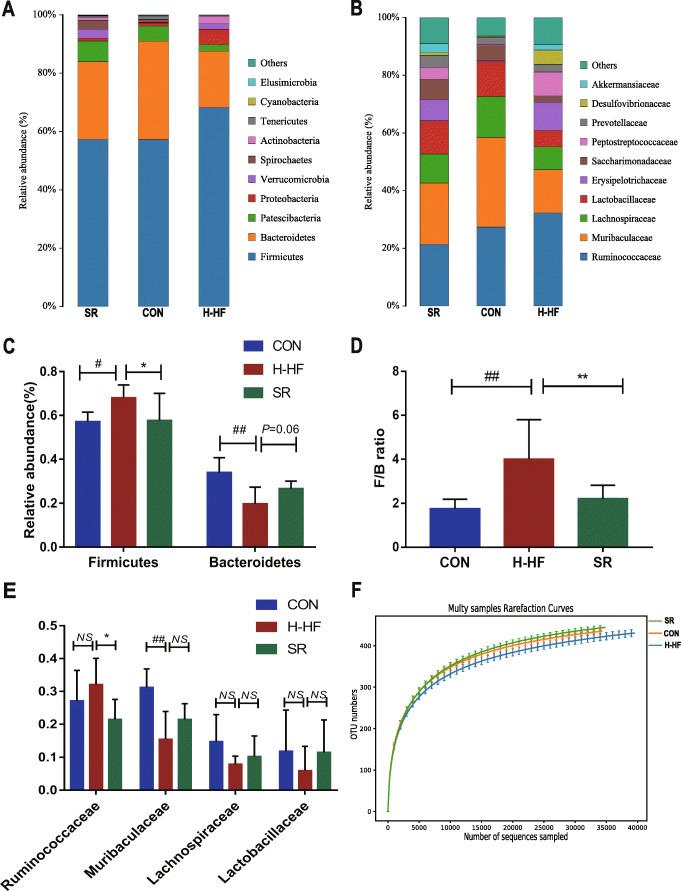 https://cdn.ncbi.nlm.nih.gov/pmc/blobs/9866/8097775/5a5f0d7fddbe/12866_2021_2202_Fig5_HTML.jpg