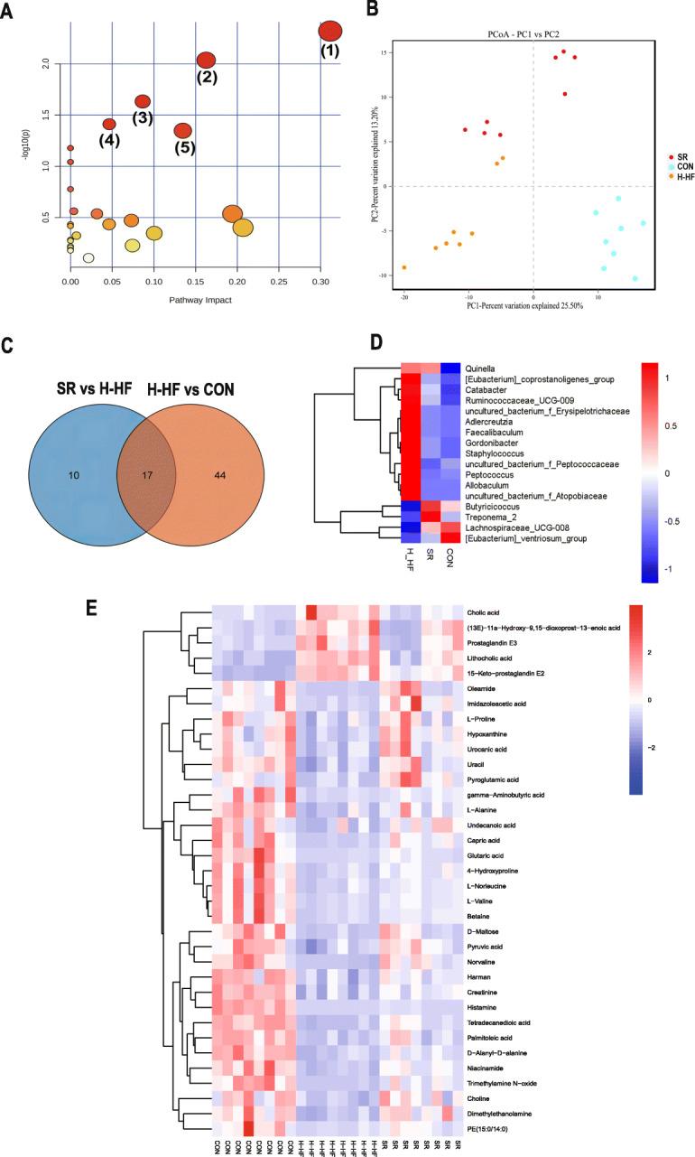 https://cdn.ncbi.nlm.nih.gov/pmc/blobs/9866/8097775/7b3132d7df11/12866_2021_2202_Fig4_HTML.jpg