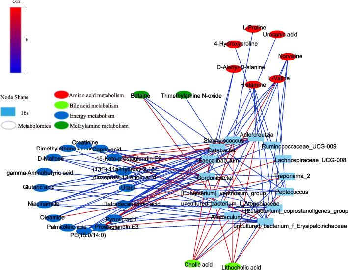 https://cdn.ncbi.nlm.nih.gov/pmc/blobs/9866/8097775/dce1469c1bbd/12866_2021_2202_Fig7_HTML.jpg