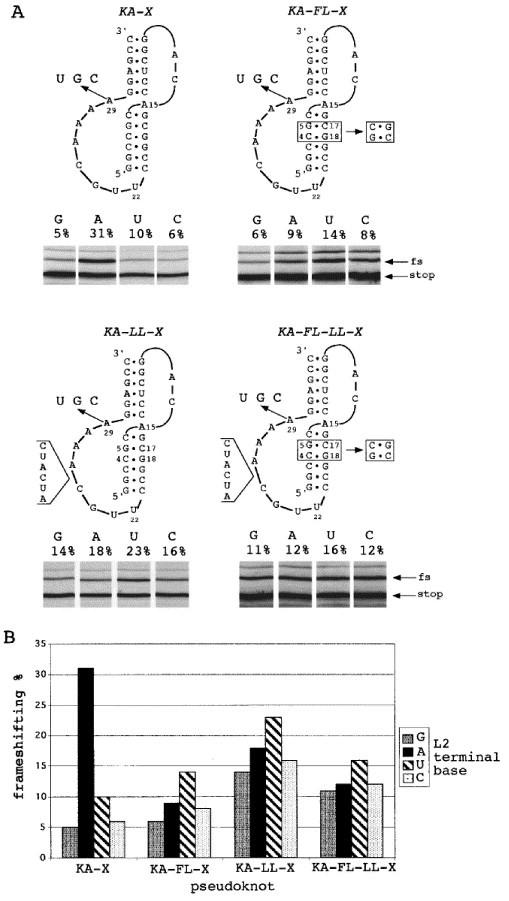 https://cdn.ncbi.nlm.nih.gov/pmc/blobs/9867/7141562/22edbc226432/gr5.jpg