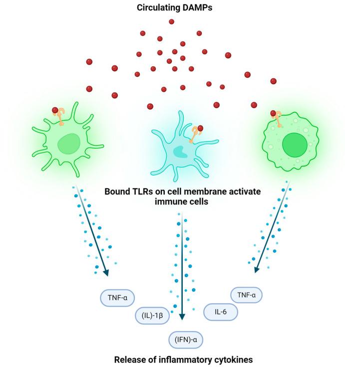 https://cdn.ncbi.nlm.nih.gov/pmc/blobs/9868/11431851/731be6fccc63/ijms-25-10152-g002.jpg