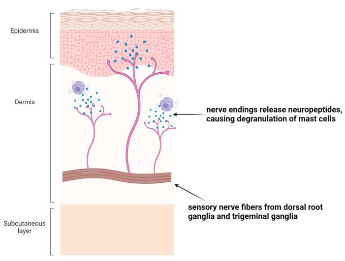https://cdn.ncbi.nlm.nih.gov/pmc/blobs/9868/11431851/ca5e9ffab0a0/ijms-25-10152-g006.jpg