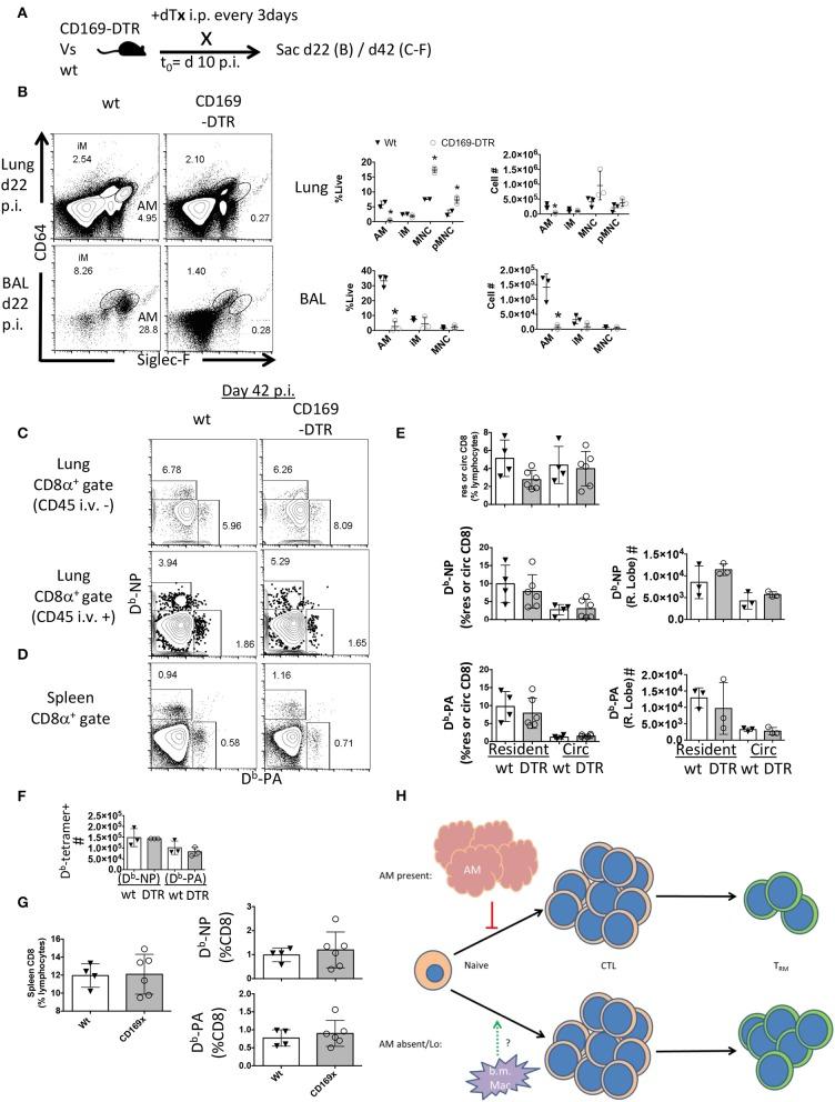 https://cdn.ncbi.nlm.nih.gov/pmc/blobs/9868/6797929/5cb8129bfde9/fimmu-10-02332-g0005.jpg