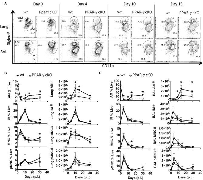 https://cdn.ncbi.nlm.nih.gov/pmc/blobs/9868/6797929/85e41bbd857e/fimmu-10-02332-g0002.jpg