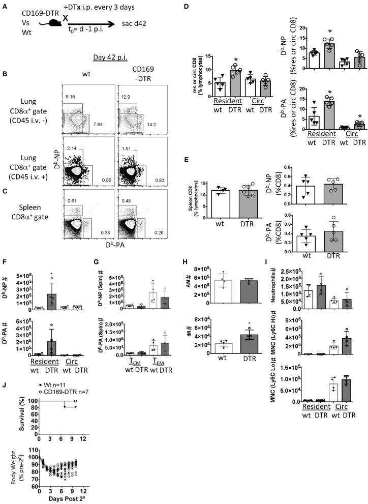 https://cdn.ncbi.nlm.nih.gov/pmc/blobs/9868/6797929/9b46cedc2e65/fimmu-10-02332-g0004.jpg