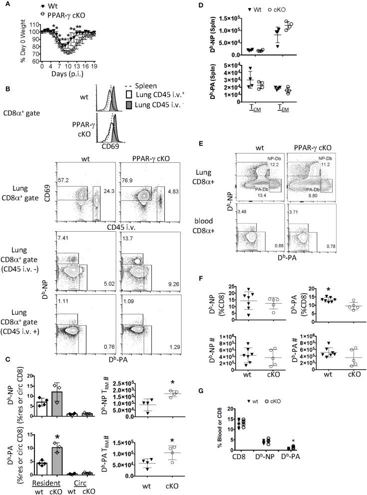 https://cdn.ncbi.nlm.nih.gov/pmc/blobs/9868/6797929/c579282ded12/fimmu-10-02332-g0001.jpg