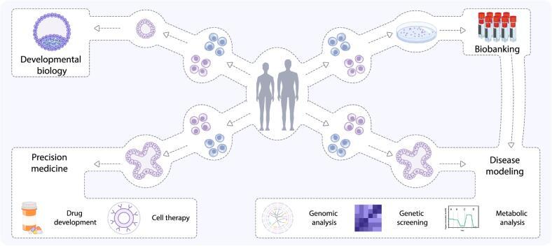 https://cdn.ncbi.nlm.nih.gov/pmc/blobs/9869/12020925/68e3c367b679/gr3.jpg